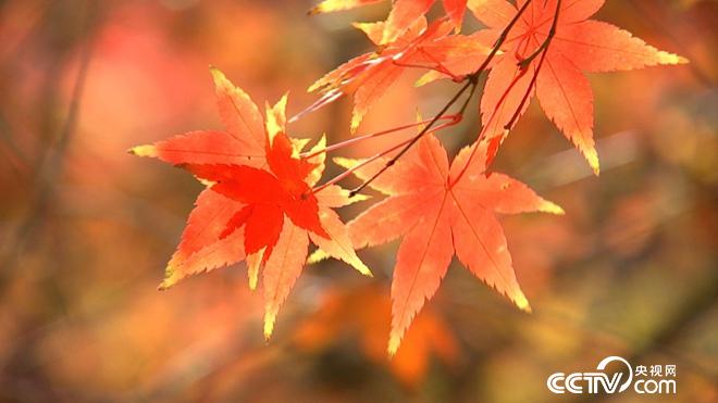 76岁患癌老人误打误撞收获6亿财富