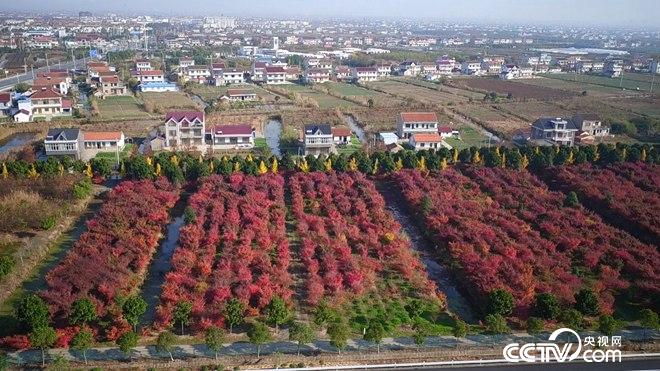 76岁患癌老人误打误撞收获6亿财富