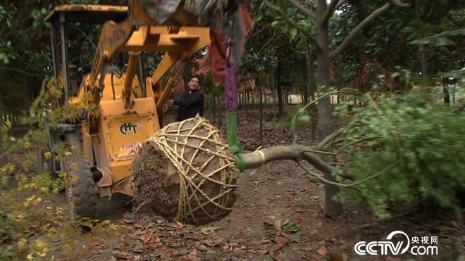 76岁患癌老人误打误撞收获6亿财富