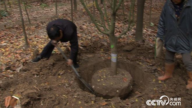 76岁患癌老人误打误撞收获6亿财富