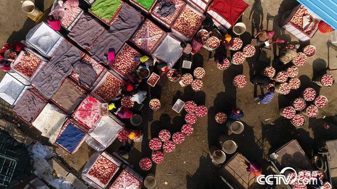 四朵姐妹花进大山 年入2500万的秘密