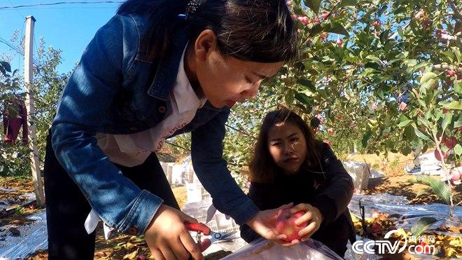 四朵姐妹花进大山 年入2500万的秘密