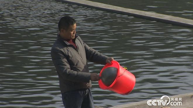 半小时损失5000万 一年绝地翻身