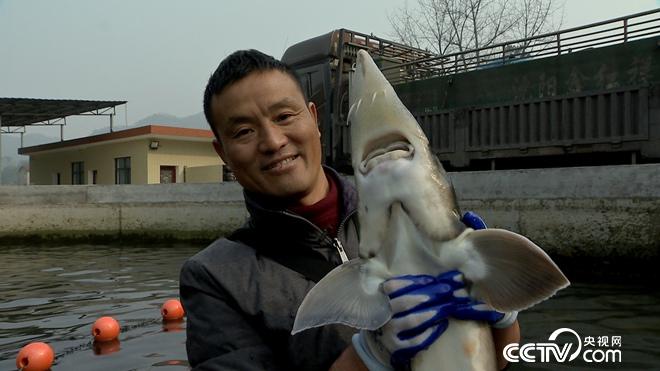 半小时损失5000万 一年绝地翻身