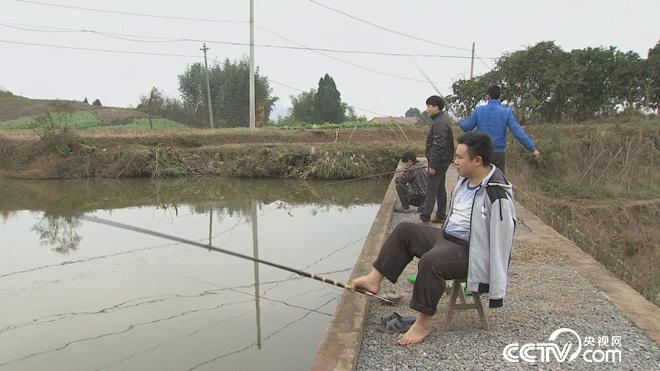 无臂男 富家女 非凡的爱情与财富