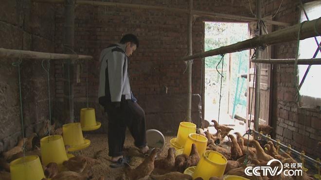 无臂男 富家女 非凡的爱情与财富