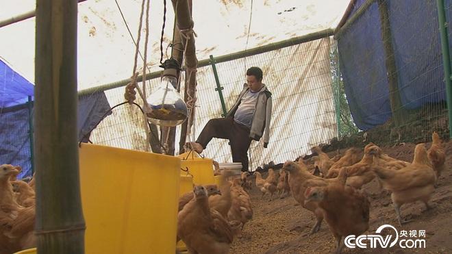 无臂男 富家女 非凡的爱情与财富