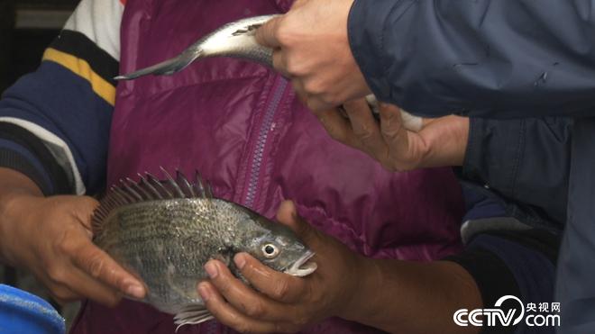 牛哥遇骗局 反赚亿万财