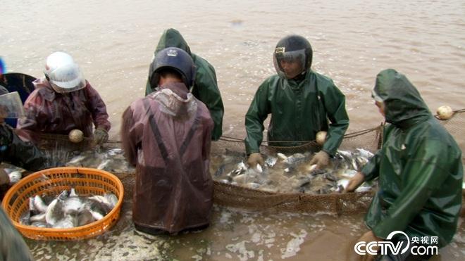 牛哥遇骗局 反赚亿万财