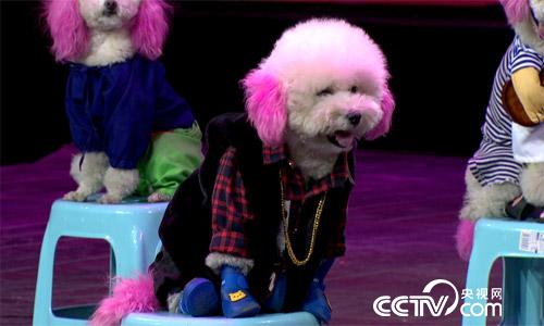 阳光大道：为你点赞 2月11日