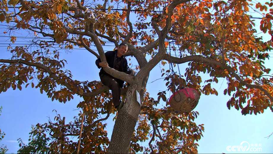 50天入2000万 小镇女人古法赚钱