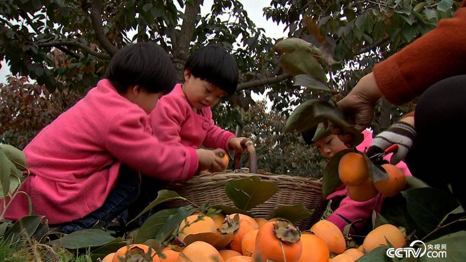 50天入2000万 小镇女人古法赚钱