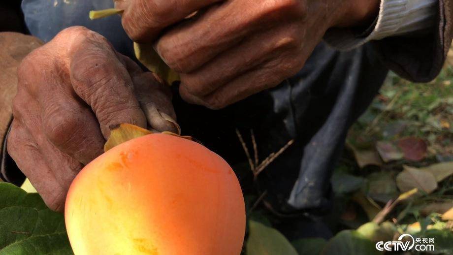 50天入2000万 小镇女人古法赚钱