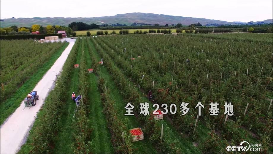 把成功秘诀戴在手指上的人