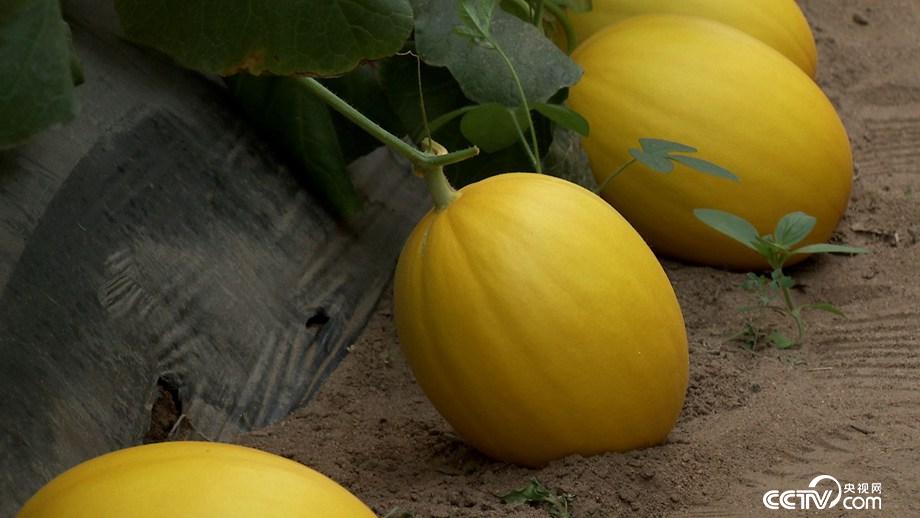 把成功秘诀戴在手指上的人