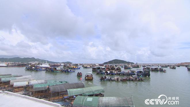 乡土：品味中国之广东篇 2月26日