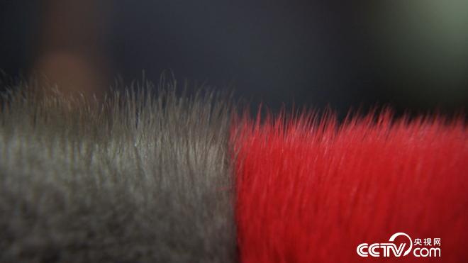 财富雪里来 越冷越值钱