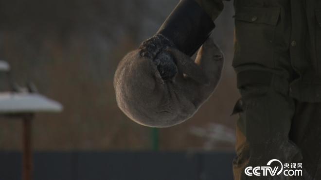 财富雪里来 越冷越值钱