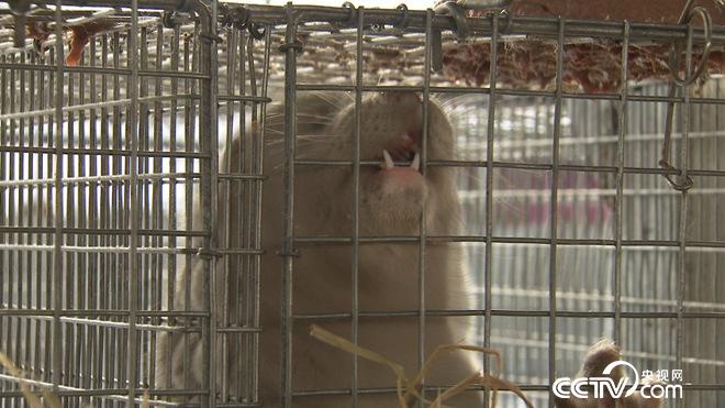 财富雪里来 越冷越值钱