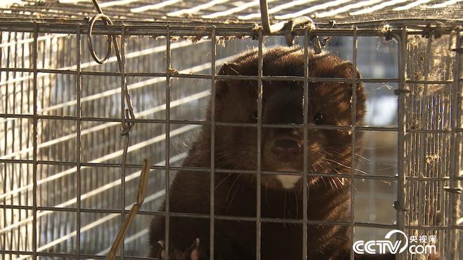 财富雪里来 越冷越值钱