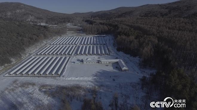财富雪里来 越冷越值钱