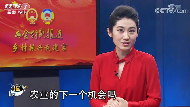 乡村振兴我建言