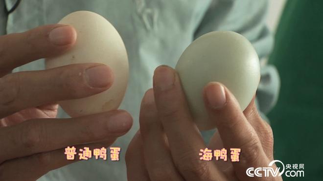 工薪小伙赶鸭下海 不到两年卖千万