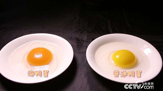 工薪小伙赶鸭下海 不到两年卖千万