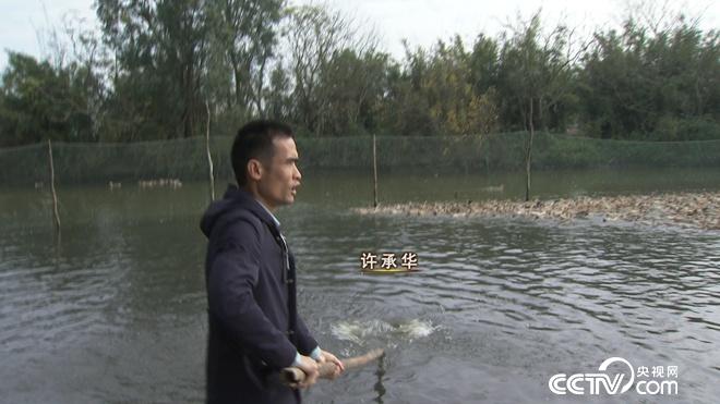 工薪小伙赶鸭下海 不到两年卖千万