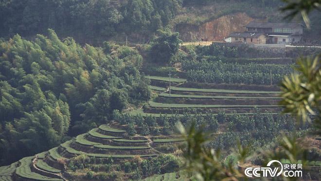 乡土：品味中国 福建篇 3月20日
