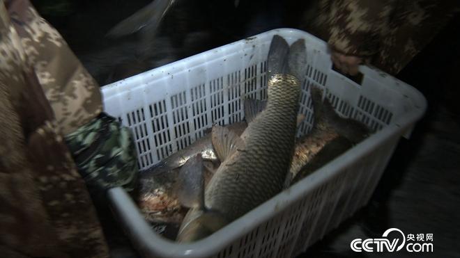 藏在冰面下十年的神秘财富