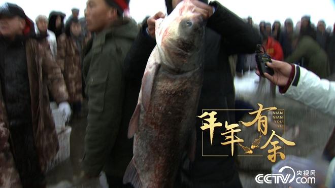 藏在冰面下十年的神秘财富