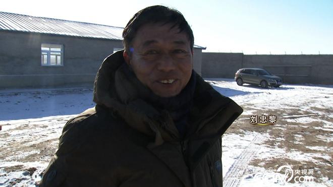 与狼共舞 别样狼财