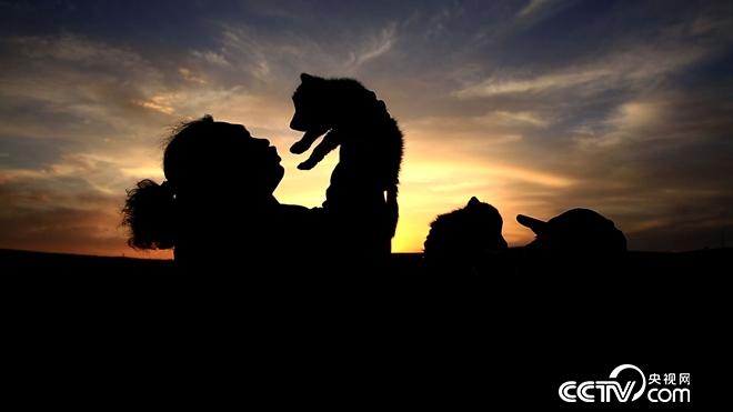 与狼共舞 别样狼财