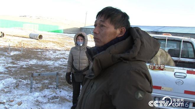 与狼共舞 别样狼财