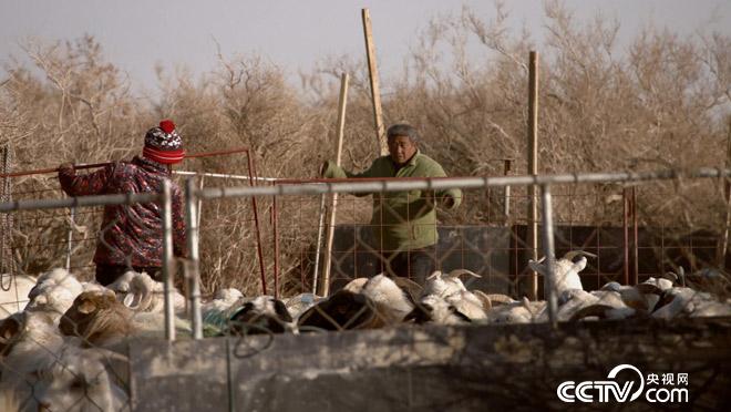 乡土：宁静一家人 3月27日
