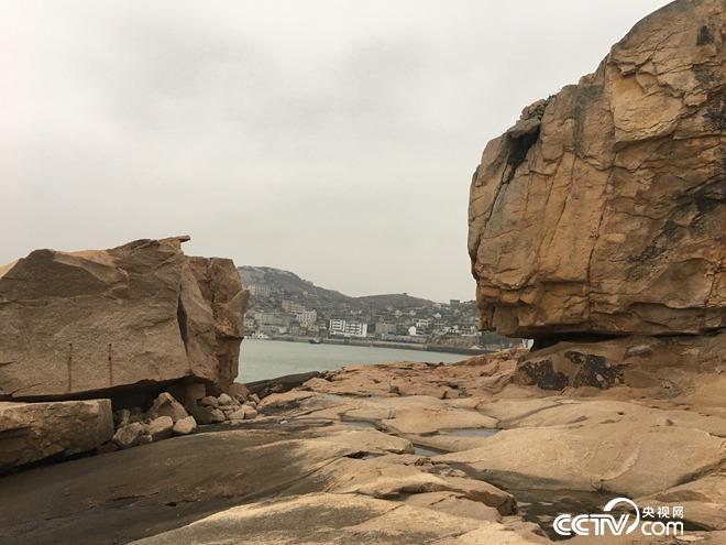 一条鱼卖上千元 咋卖？