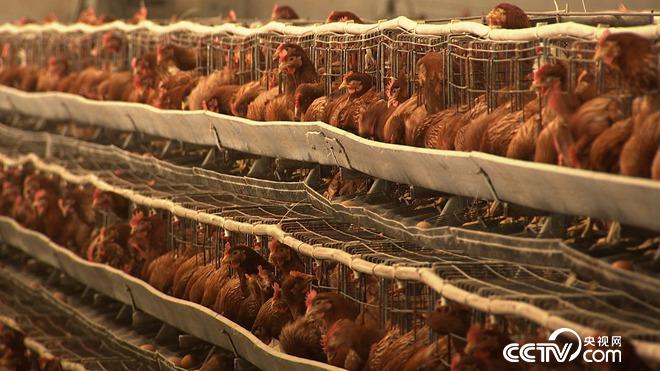 乖乖女和暴躁老爹的财富拉锯战