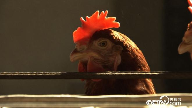 乖乖女和暴躁老爹的财富拉锯战