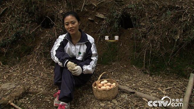 乖乖女和暴躁老爹的财富拉锯战