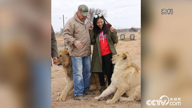 乖乖女和暴躁老爹的财富拉锯战