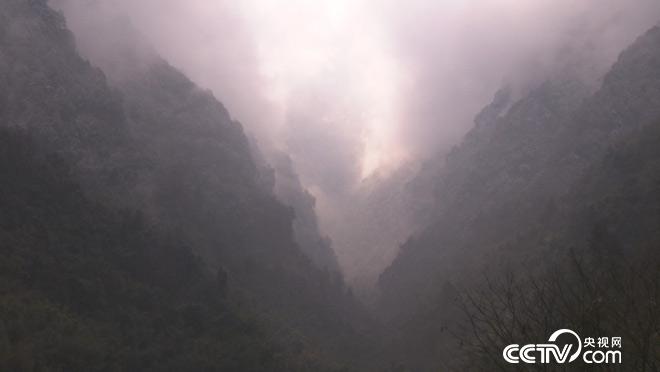 乡土：土城人家 4月6日