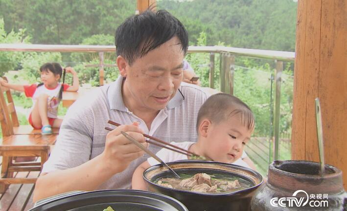 乡土：乡土中国美好生活 茶乡情缘 5月11日