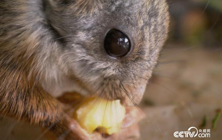 绿色时空：&ldquo;高招&rdquo;养殖 取之有道 5月13日