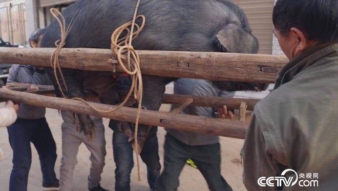 乡土：小直邑村春季祭山记 5月15日