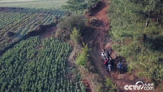 乡土：小直邑村春季祭山记 5月15日