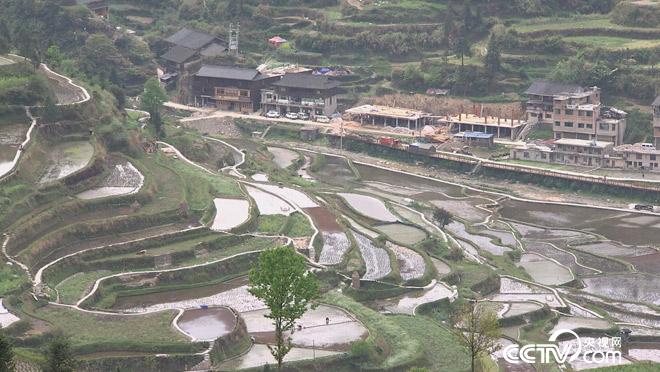 乡土：乡土中国 品味雷山 5月30日