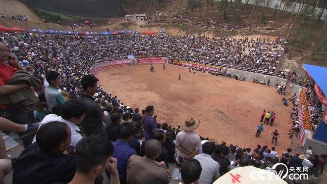 乡土：苗族狂欢节 5月31日