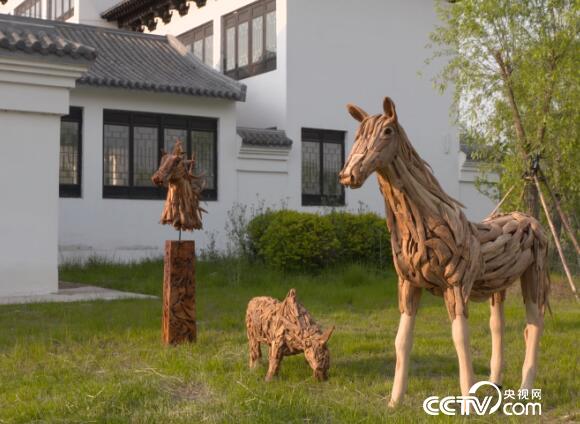 绿色时空：打开&ldquo;烂木头&rdquo;的财富密码 6月17日