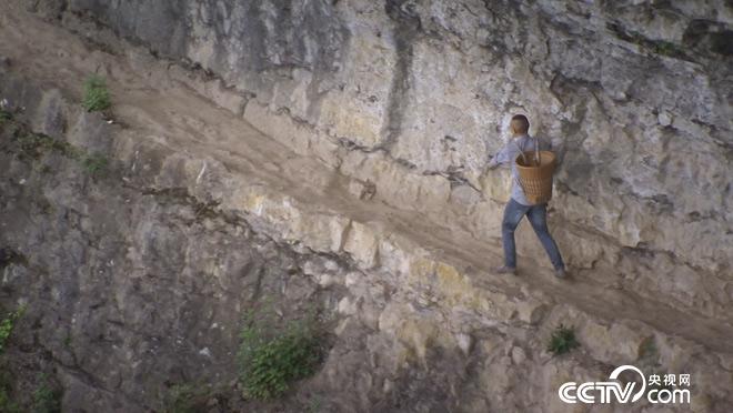 乡土：望山见水里耶城 6月28日